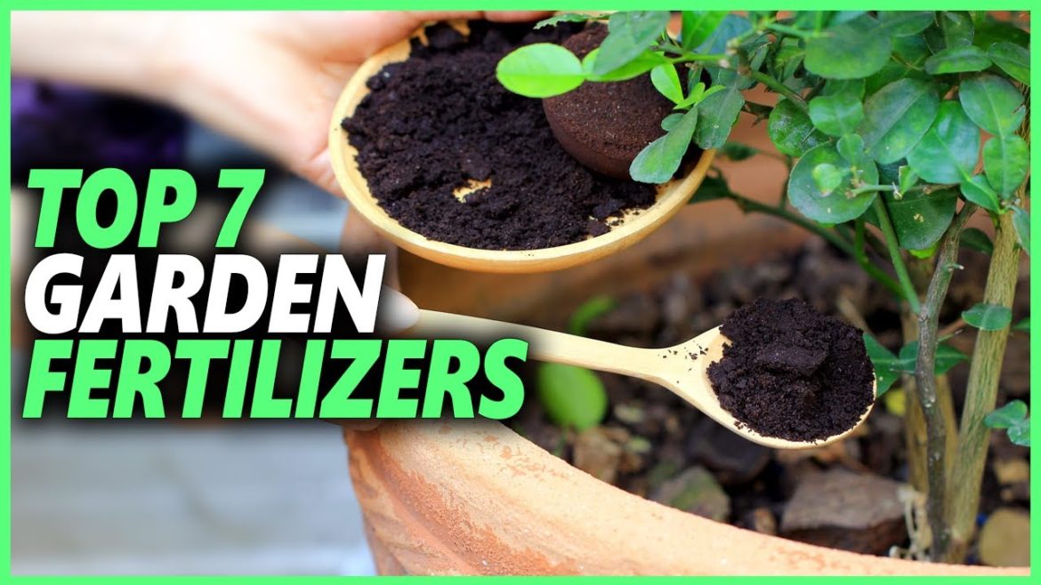 Best Garden Fertilizers | Top 7 Gardening Fertilizers For Growing Vegetables Best Garden Fertilizers | Top 7 Gardening Fertilizers For Growing Vegetables