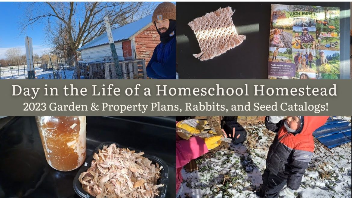 DITL of a Homeschool Homestead #7: 2023 Garden & Property Plans, Rabbits, and Seed Catalogs!