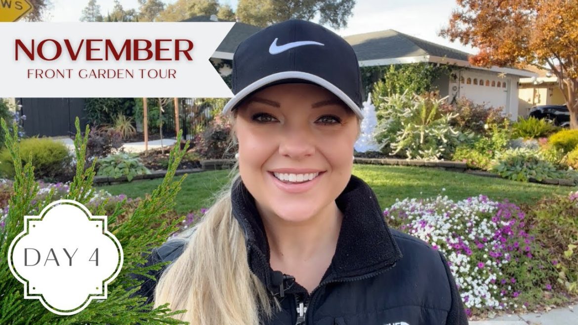 Holidays in the Garden Day 4! :: November Front Garden Tour :: Zone 9b California Garden Tour Holidays in the Garden Day 4! :: November Front Garden Tour :: Zone 9b California Garden Tour