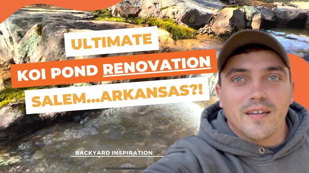 Don't Renovate Your Koi Pond Until You Watch This | Backyard Renovation | Arkansas | Water Gardening Don't Renovate Your Koi Pond Until You Watch This | Backyard Renovation | Arkansas | Water Gardening