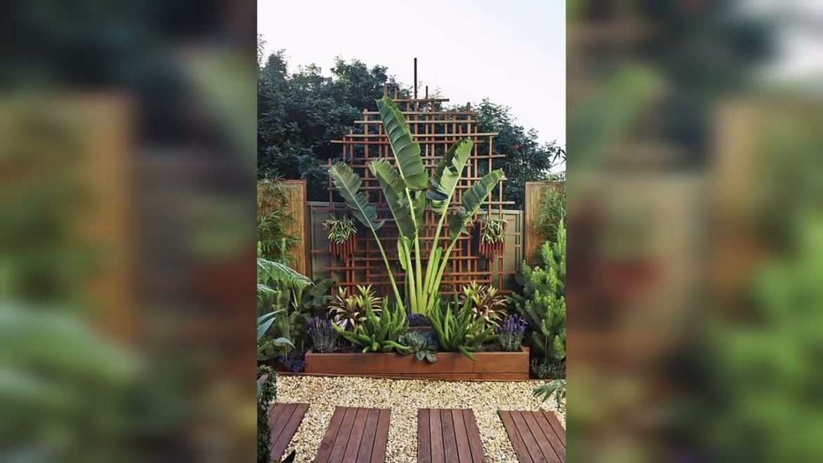 Tropical Garden Ideas | Skills to make you Garden Amazing