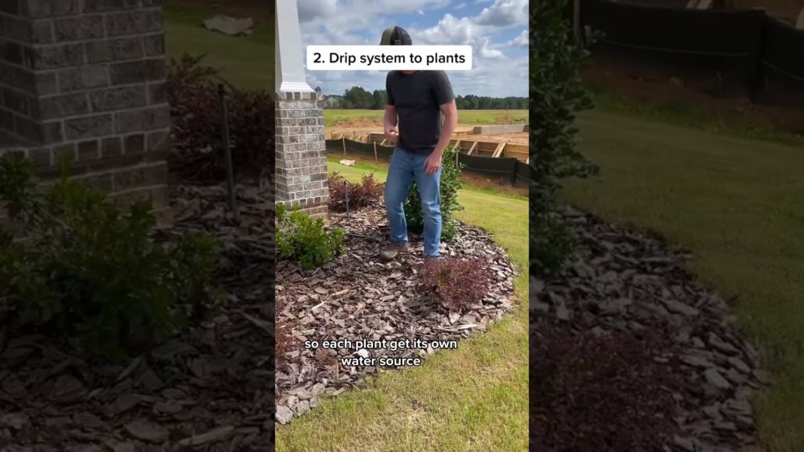 3 Landscaping Tips I wish I knew before we Built… 3 Landscaping Tips I wish I knew before we Built...