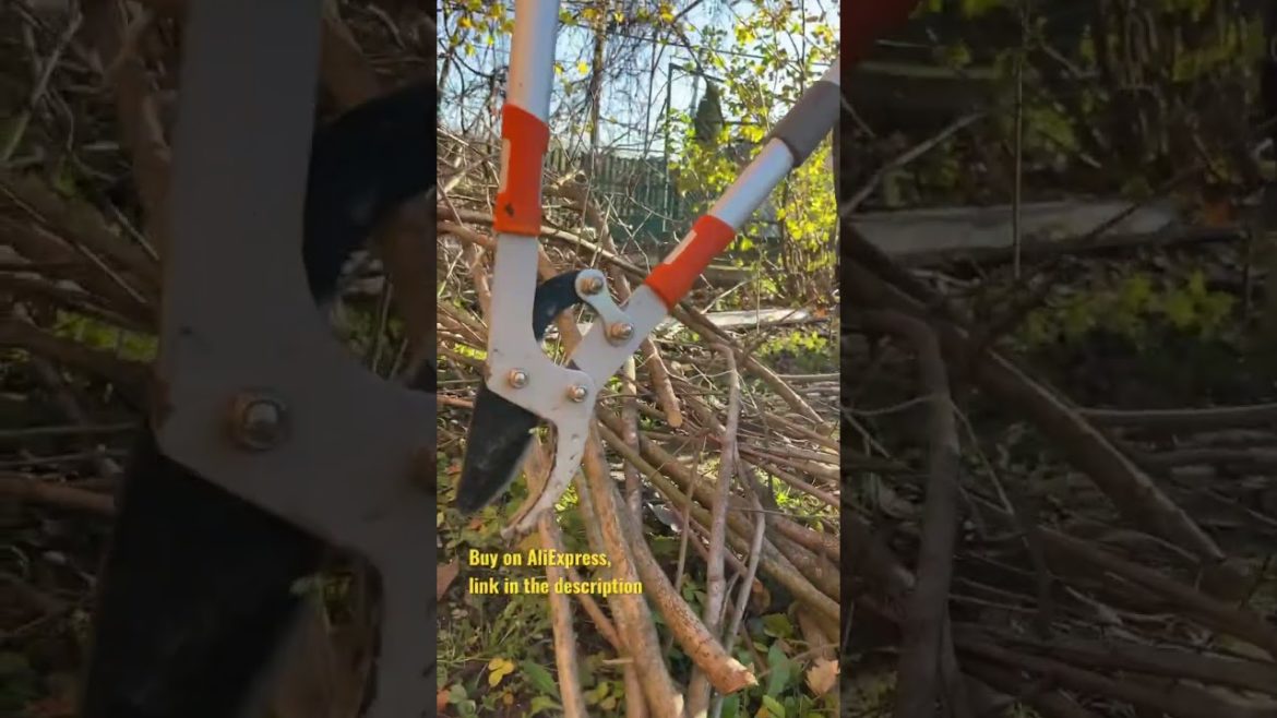 Gardening Tools Equipment - Secateurs