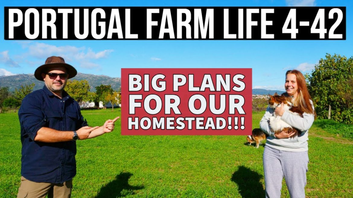 BIG PLANS for our Homestead!!! 😮😍❤PORTUGAL FARM LIFE S4-E42