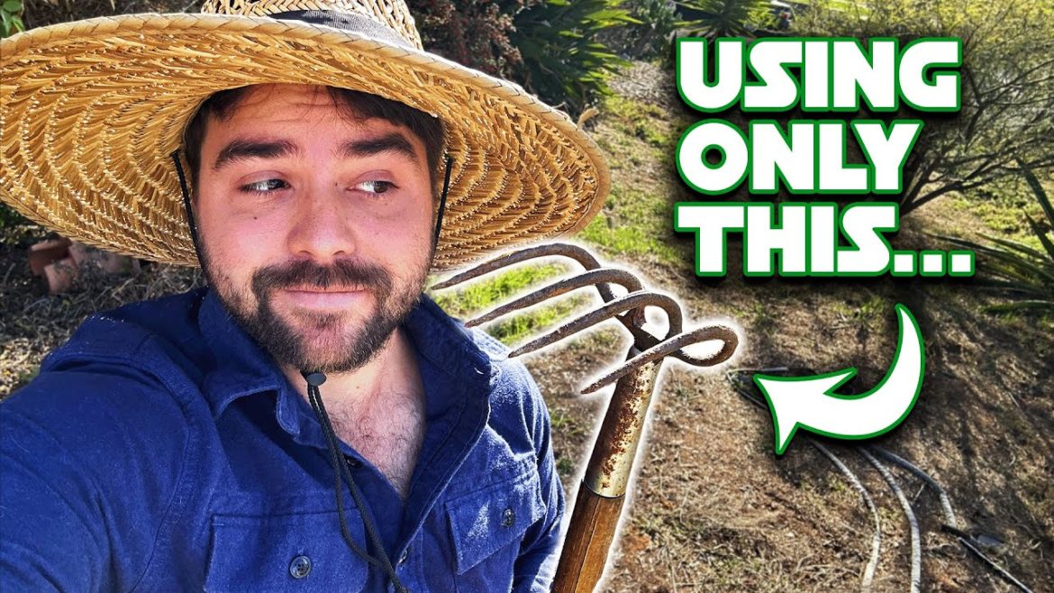 How I Revive A Dead Garden How I Revive A Dead Garden