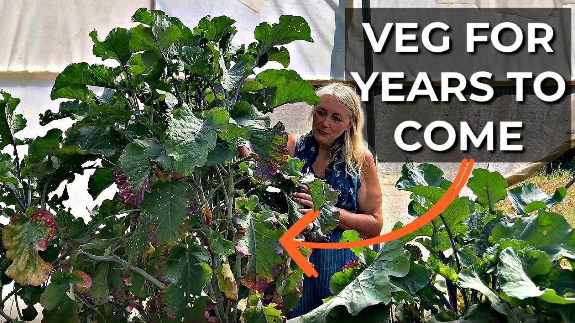 Perennial Plants at Incredible Vegetables | Easy to grow veg to harvest year after year Perennial Plants at Incredible Vegetables | Easy to grow veg to harvest year after year