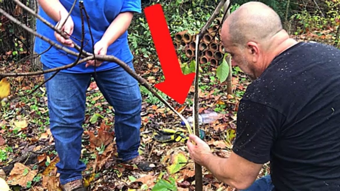 Fruit Tree Rescue:  saving a fruit tree’s broke trunk.  Go from :( to :)