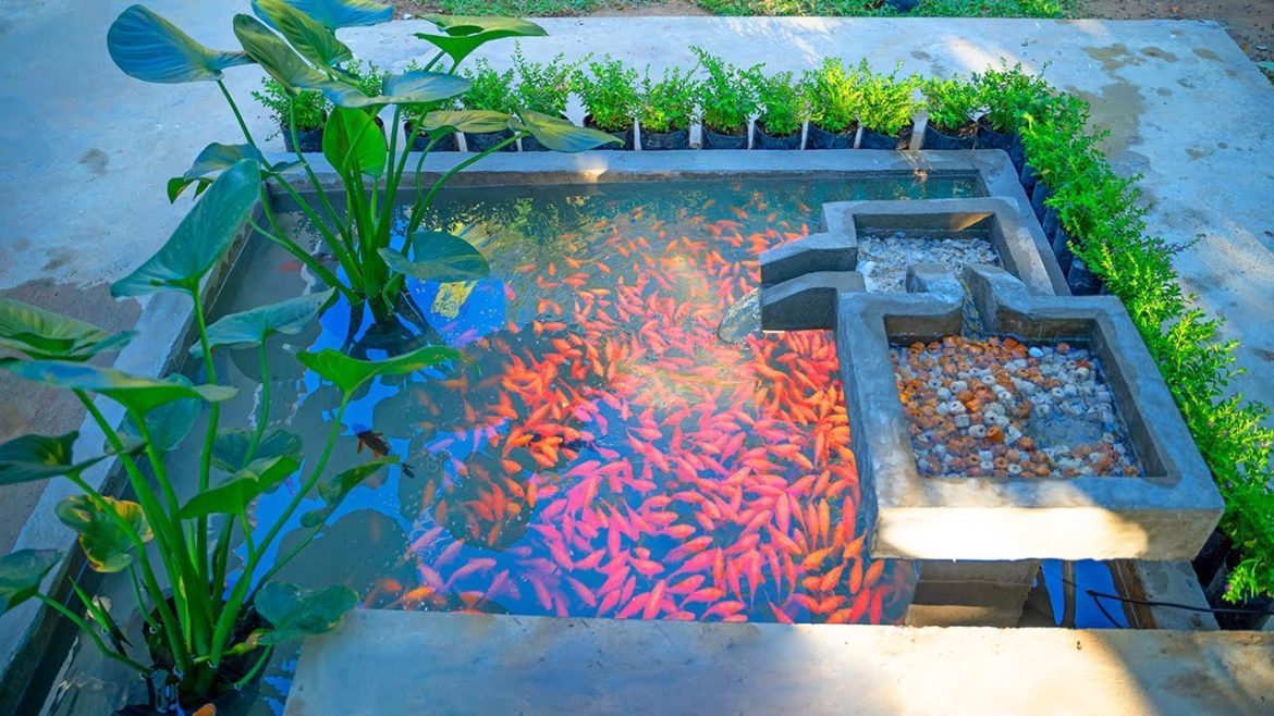 Garden Design Ideas - Garden Corner Into a Beautiful Waterfall Aquarium Garden