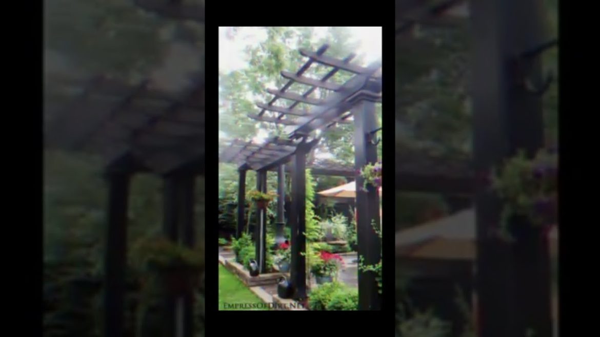 Landscape Desing ideas Best ideas for garden and landscape #56234 #shorts 521 Landscape Desing ideas Best ideas for garden and landscape #56234 #shorts 521