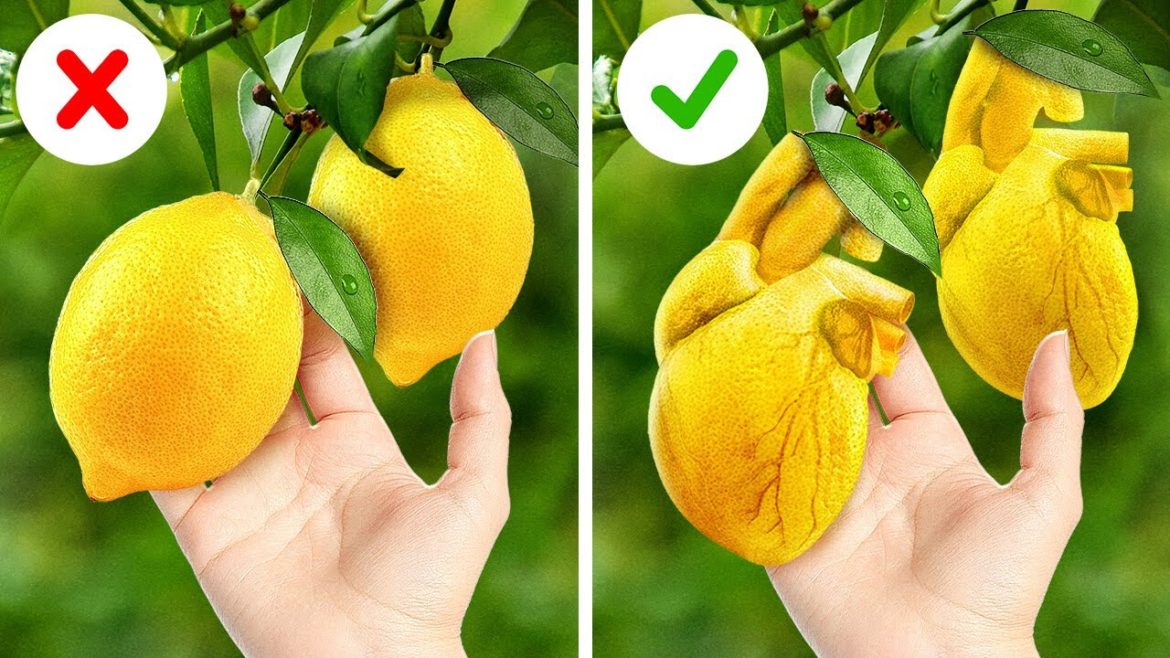 Fantastic Gardening Tips And Hacks You've Never Seen Before