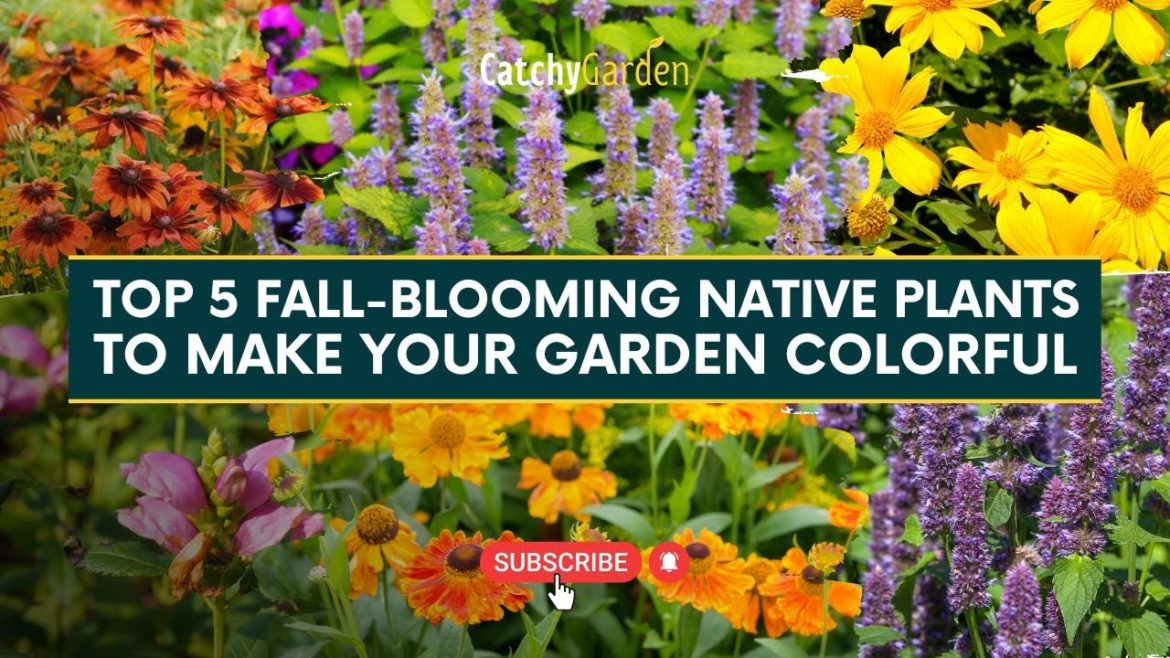 Top 5 Fall Blooming Native Plants to Color Your Garden πΈπ»πΊ // Catchy Garden Top 5 Fall Blooming Native Plants to Color Your Garden πΈπ»πΊ // Catchy Garden