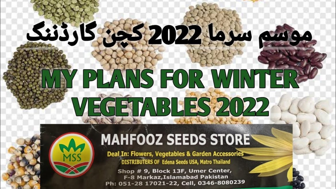 My Plans To Grow Winter Vegetables 2022