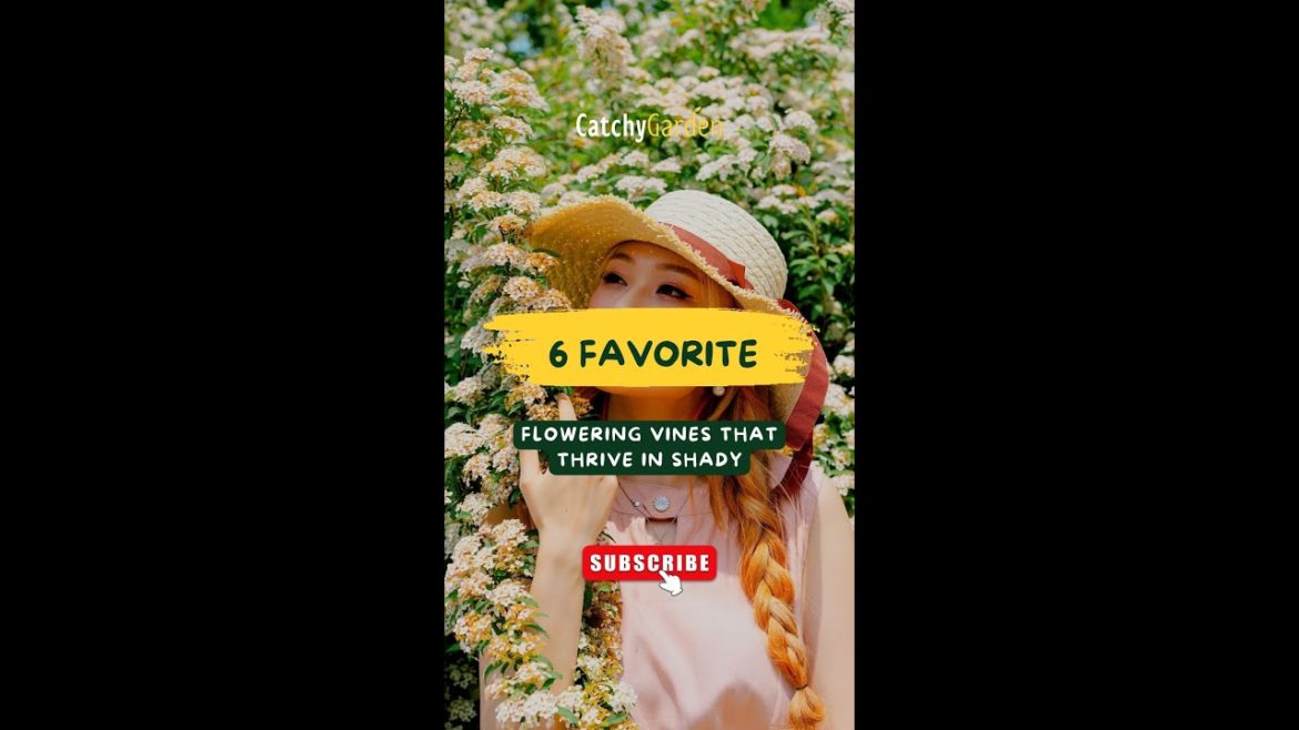 6 Favorite Flowering Vines That Thrive In Shady SpotsππΏπΈ// #short #shortsvideo 6 Favorite Flowering Vines That Thrive In Shady SpotsππΏπΈ// #short #shortsvideo