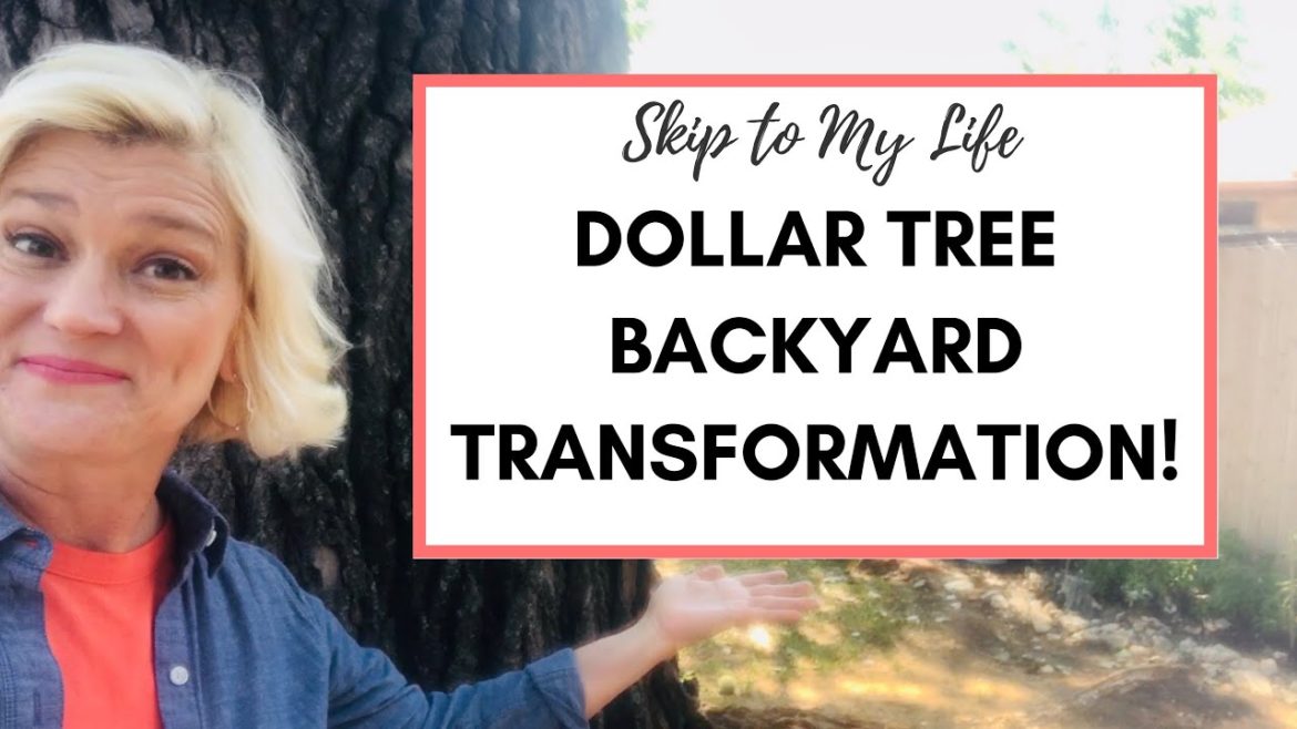 How to Make a Backyard Garden / Dollar Tree Seeds for Beginners / Money Saving Gardening