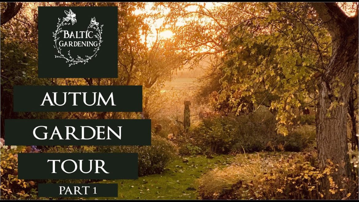 Garden tour part 1. autumn garden tours. the front garden. November garden. Baltic Gardening