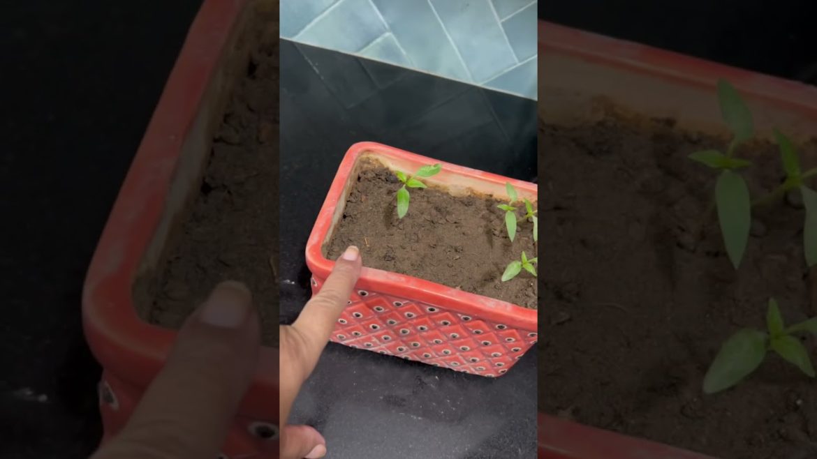 सभी तो नहीं हुए