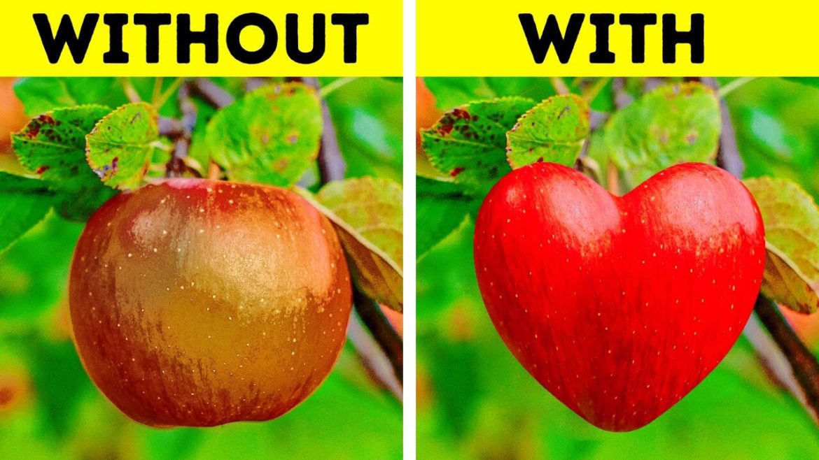 Incredible gardening tips and growing hacks