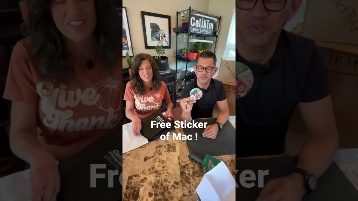 RANDOM FREE STUFF for our Customers!!!