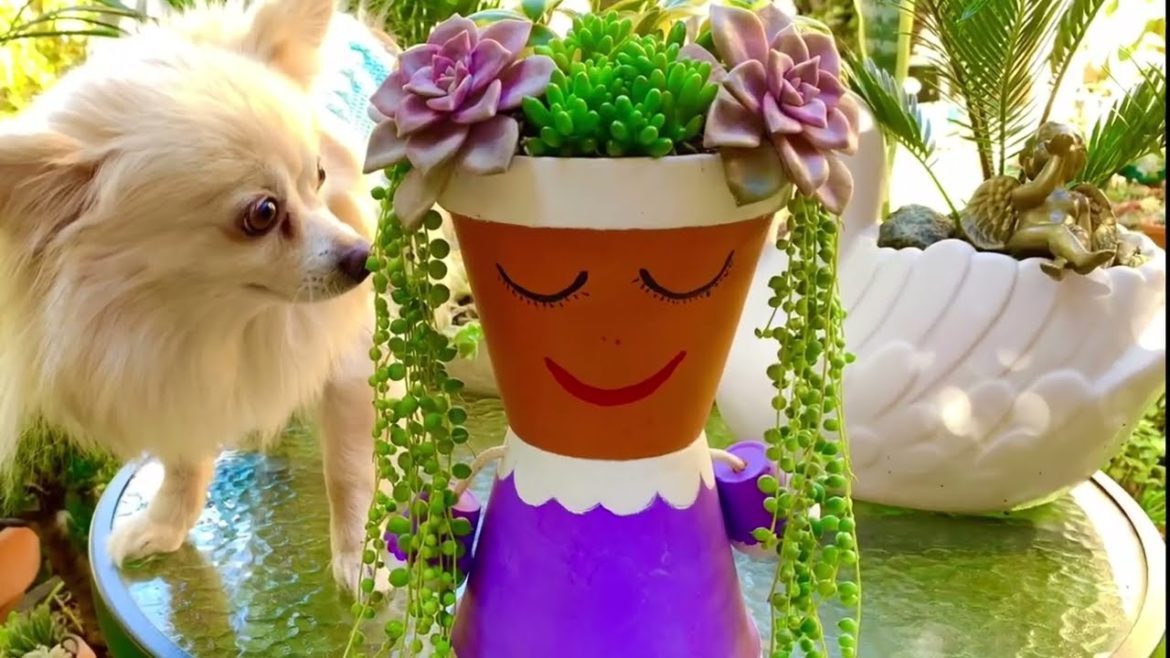 Little Girl Succulent Arrangement