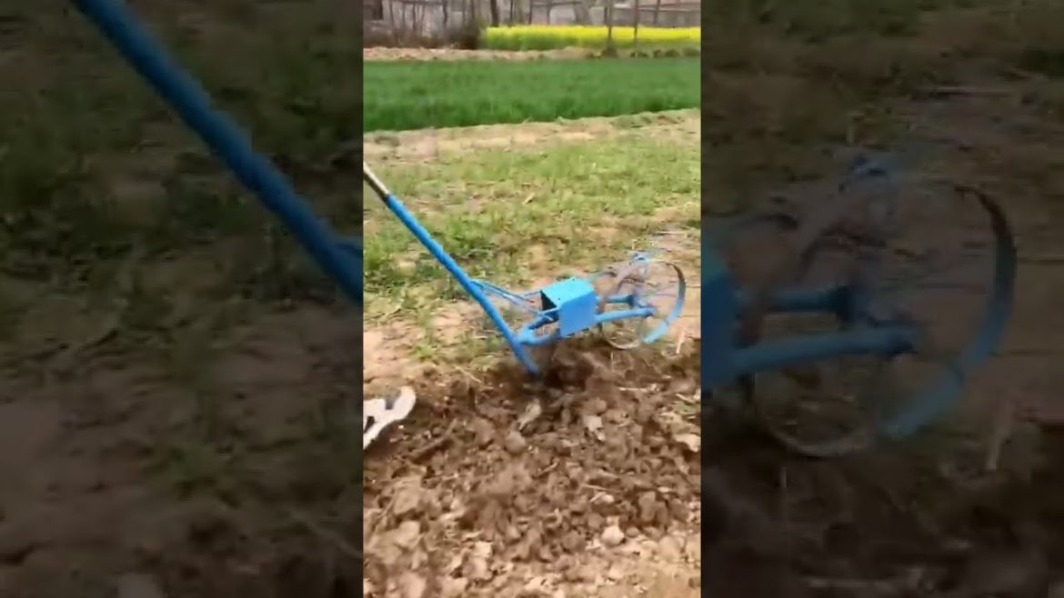 New Invention For Backyard Farming And Gardening #shorts