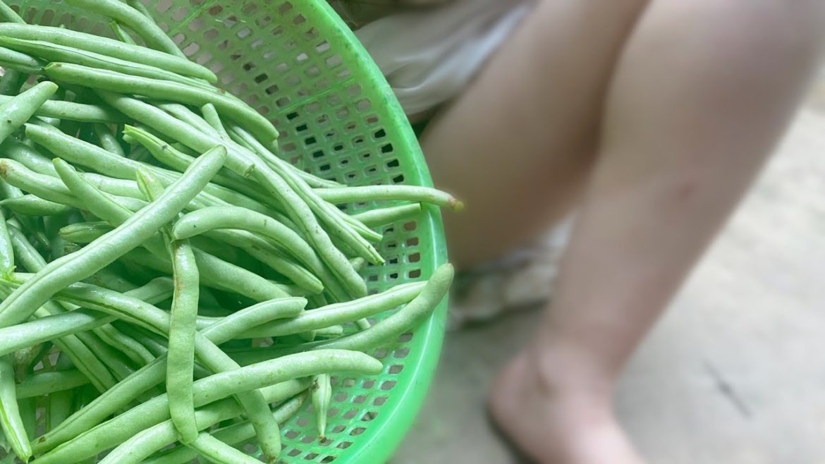 How to make beans to prepare meals / How to make food… How to make beans to prepare meals / How to make food...