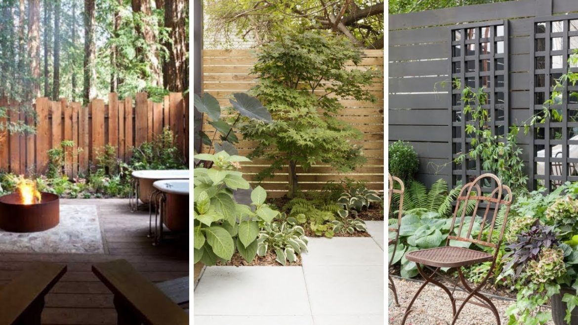 10 Backyard and Garden Fencing Ideas