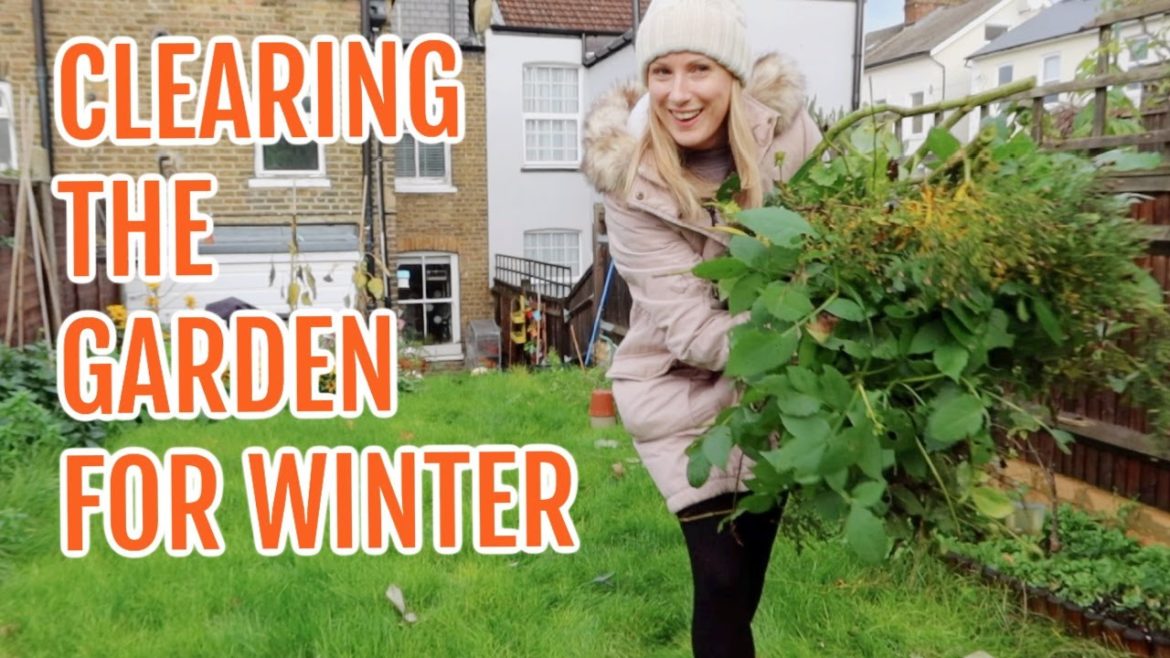 #AD CLEARING THE GARDEN FOR WINTER / NOVEMBER 2022/ EMMA'S ALLOTMENT DIARIES #AD CLEARING THE GARDEN FOR WINTER / NOVEMBER 2022/ EMMA'S ALLOTMENT DIARIES
