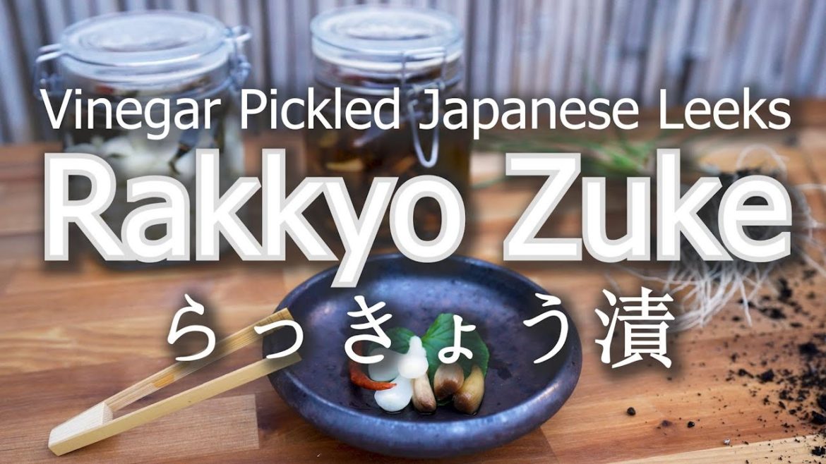 How To Make Rakkyo Zuke 甘酢漬け | Japanese Sweet Vinegar Leeks How To Make Rakkyo Zuke 甘酢漬け | Japanese Sweet Vinegar Leeks