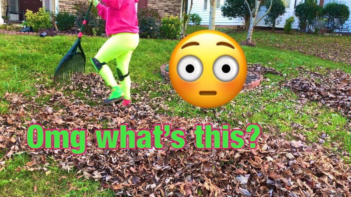 YOU won’t BELIEVE what I FOUND UNDER all these LEAVES…Small front yard cleanup Part 1 YOU won’t BELIEVE what I FOUND UNDER all these LEAVES…Small front yard cleanup Part 1