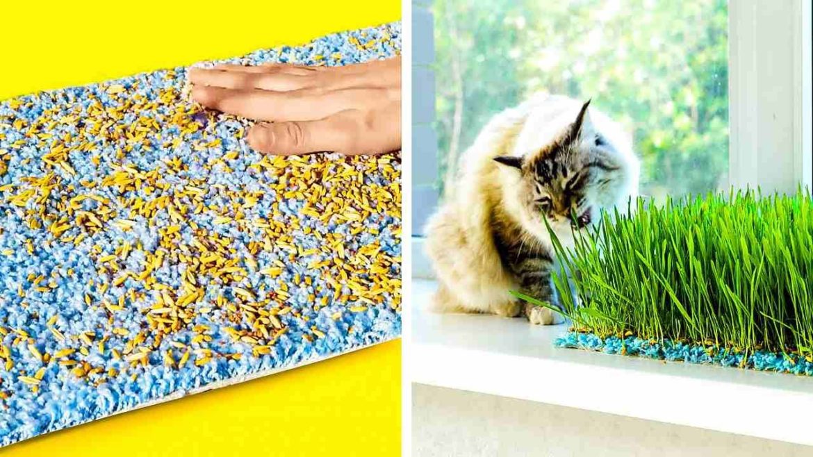 Smart Gardening tips you'll be surprised to know and Use Smart Gardening tips you'll be surprised to know and Use