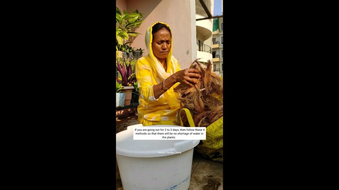 Self Watering Plant Hacks|4 Methods|2से3 दिन पानी नहीं देना पड़ेगा पोधो मे|#ashasgardenstory#shorts Self Watering Plant Hacks|4 Methods|2से3 दिन पानी नहीं देना पड़ेगा पोधो मे|#ashasgardenstory#shorts