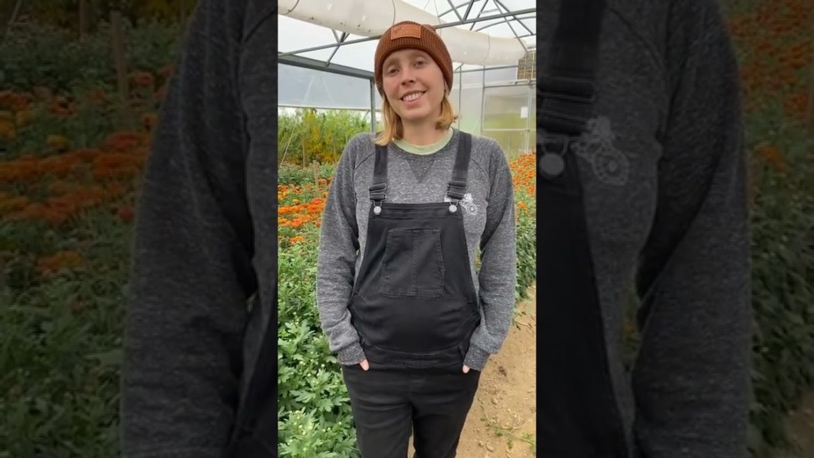 Replay: Ask a Flower Farmer Takeover with Gretel Adams of Sunny Meadows Flower Farm