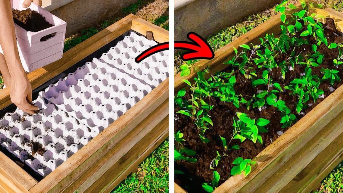 Easy Plant hacks to make your Garden Unbelievable