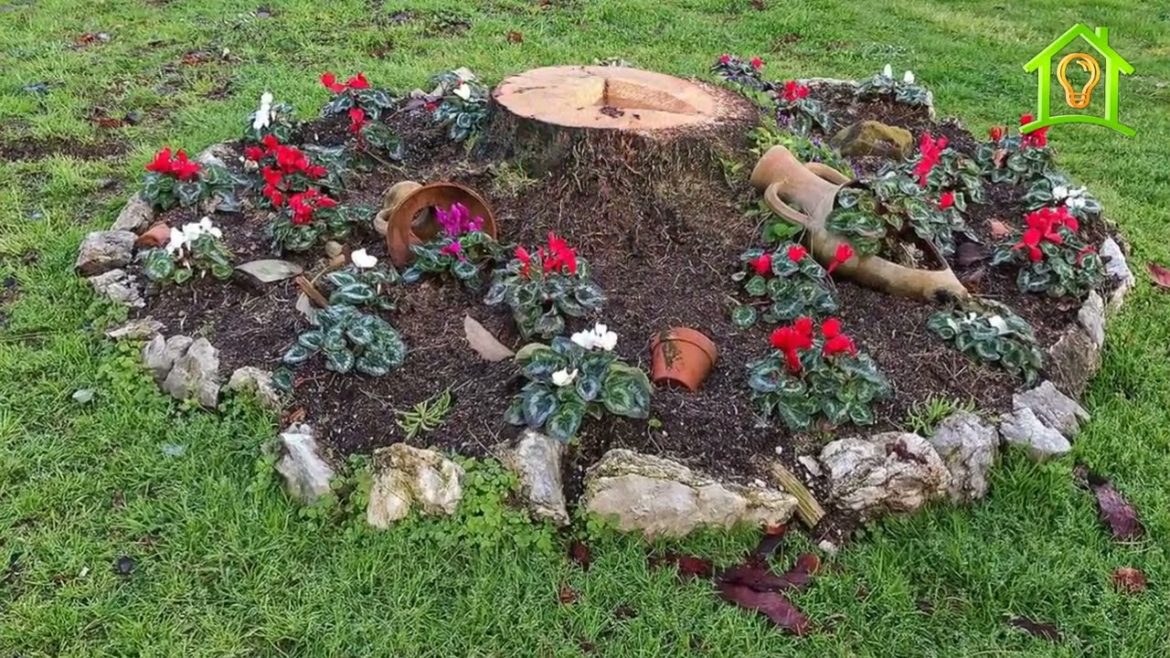 Incredibly beautiful Flowerbeds made of stone DIY. Ideas for garden design