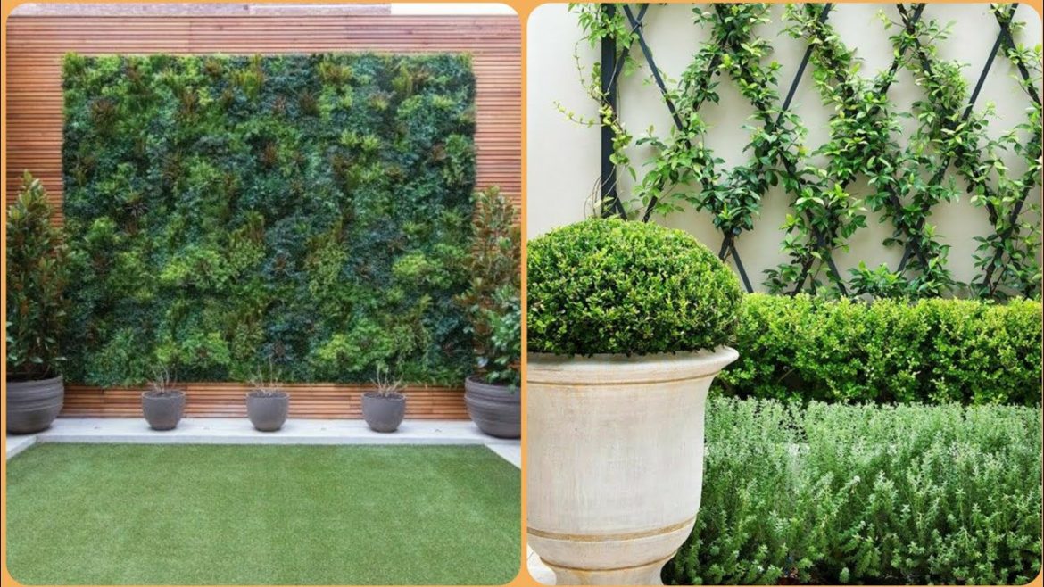 Most innovative and outstanding green wall garden design and  ideas