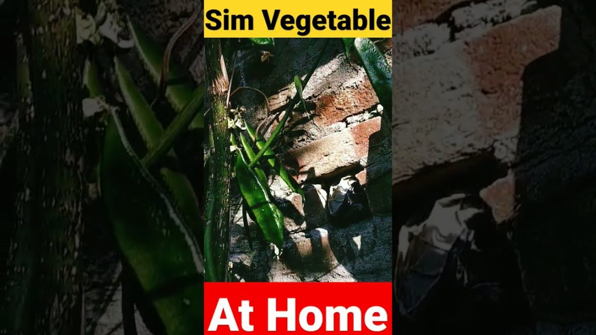 Sim Vegetable At Home #shorts #viral #shortvideo