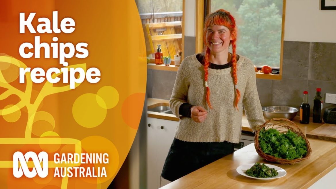 How to make healthy homegrown Kale chips | Cooking Your Garden Produce | Gardening Australia How to make healthy homegrown Kale chips | Cooking Your Garden Produce | Gardening Australia