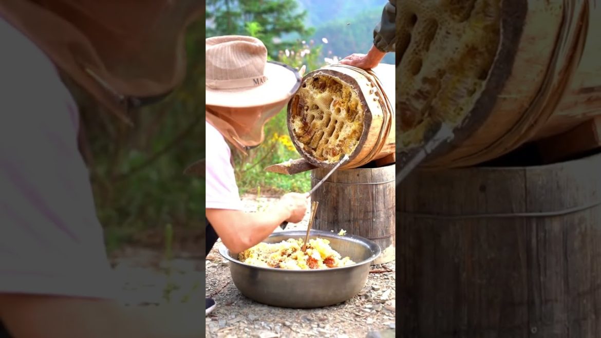 Bee keeping and harvest honey #shorts #gardening