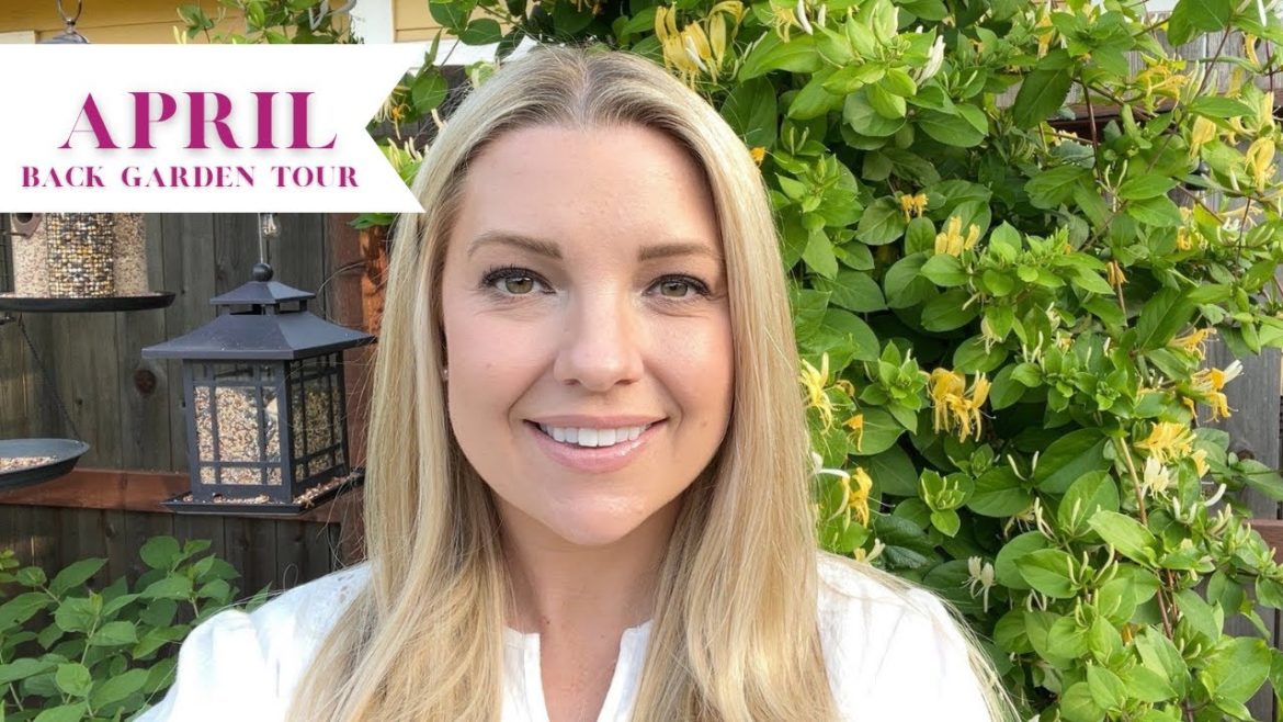 April Backyard Garden Tour! :: I Wish You Could Smell the Honeysuckle! :: Zone 9b Garden Tour April Backyard Garden Tour! :: I Wish You Could Smell the Honeysuckle! :: Zone 9b Garden Tour