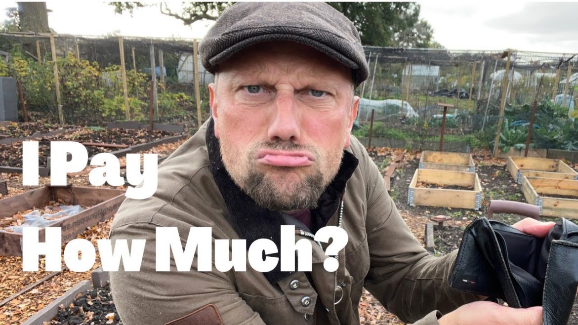 Allotment Gardening For Beginners #59 Allotment Gardening For Beginners #59