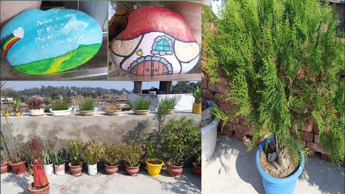 Rooftops garden decoration ideas || Simple garden ideas || Flowering ideas || @Sourav Joshi Vlogs