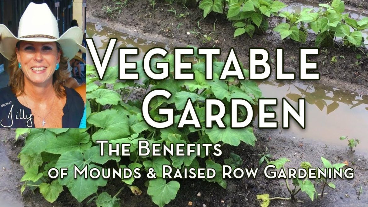 Vegetable Garden Mounds and the Benefits of Raised Row Gardening