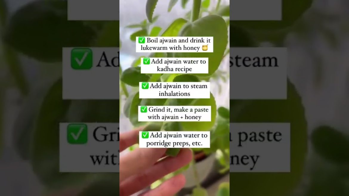Using Ajwain Leaves Like This Can..
