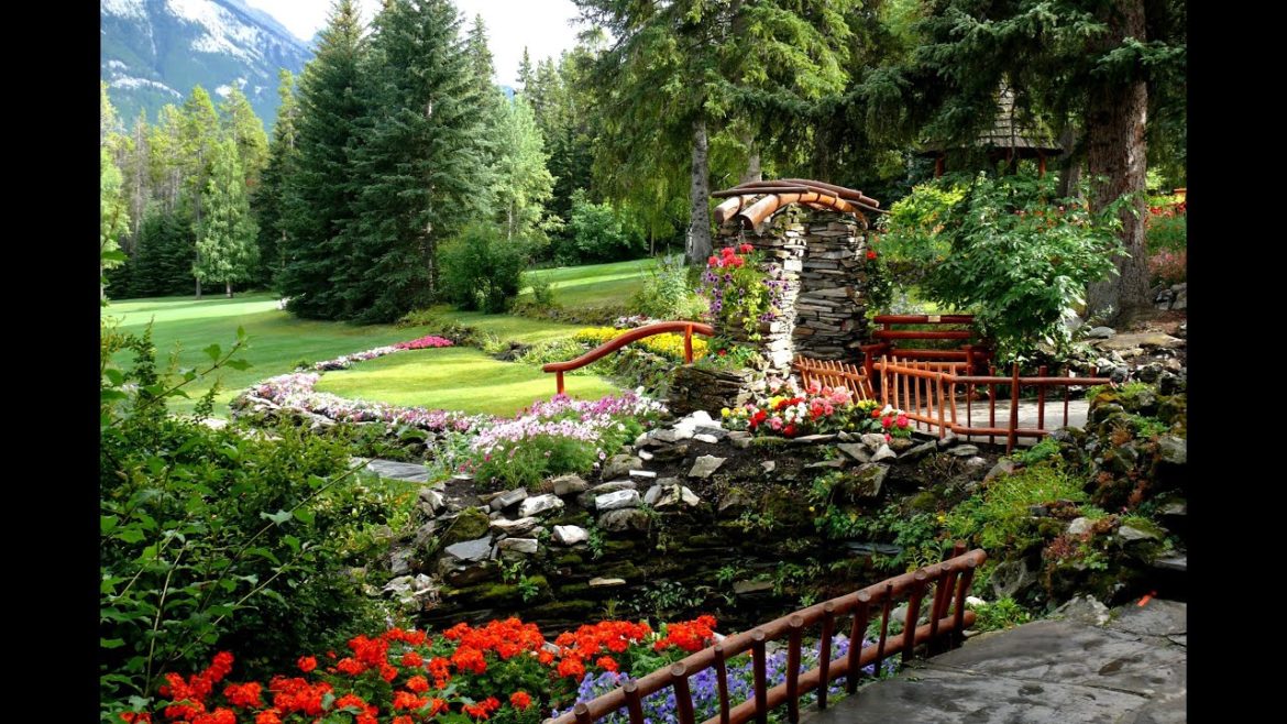 Landscape design | 70 of the most beautiful ideas for creating a flower garden that you will like