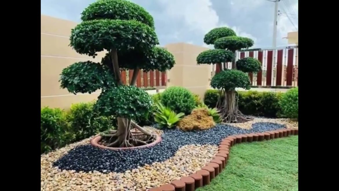 Garden Landscaping videos || Green garden design videos || Green plants design videos
