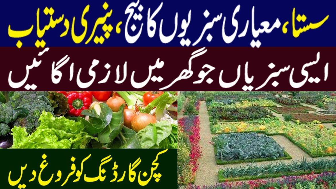 Kitchen Gardening | Winter Vegetable Seed | Kitchen Gardening in Pakistan ||