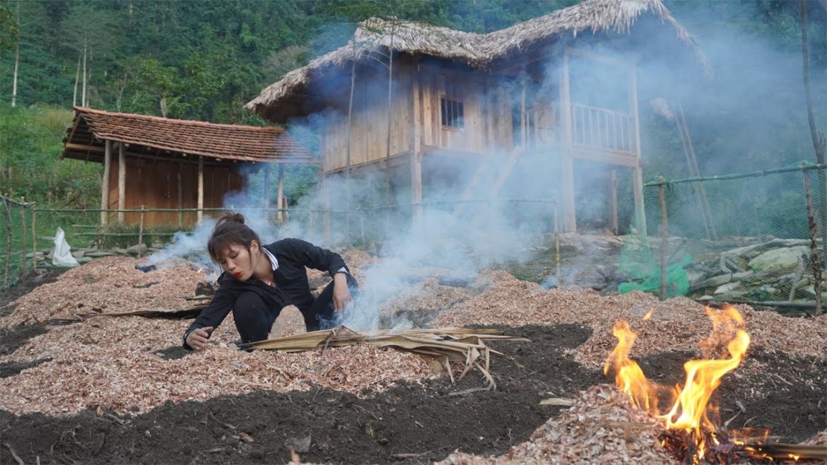 Gardening to grow vegetables,sowing green vegetable seeds on the farm/Peaceful life in the mountains Gardening to grow vegetables,sowing green vegetable seeds on the farm/Peaceful life in the mountains