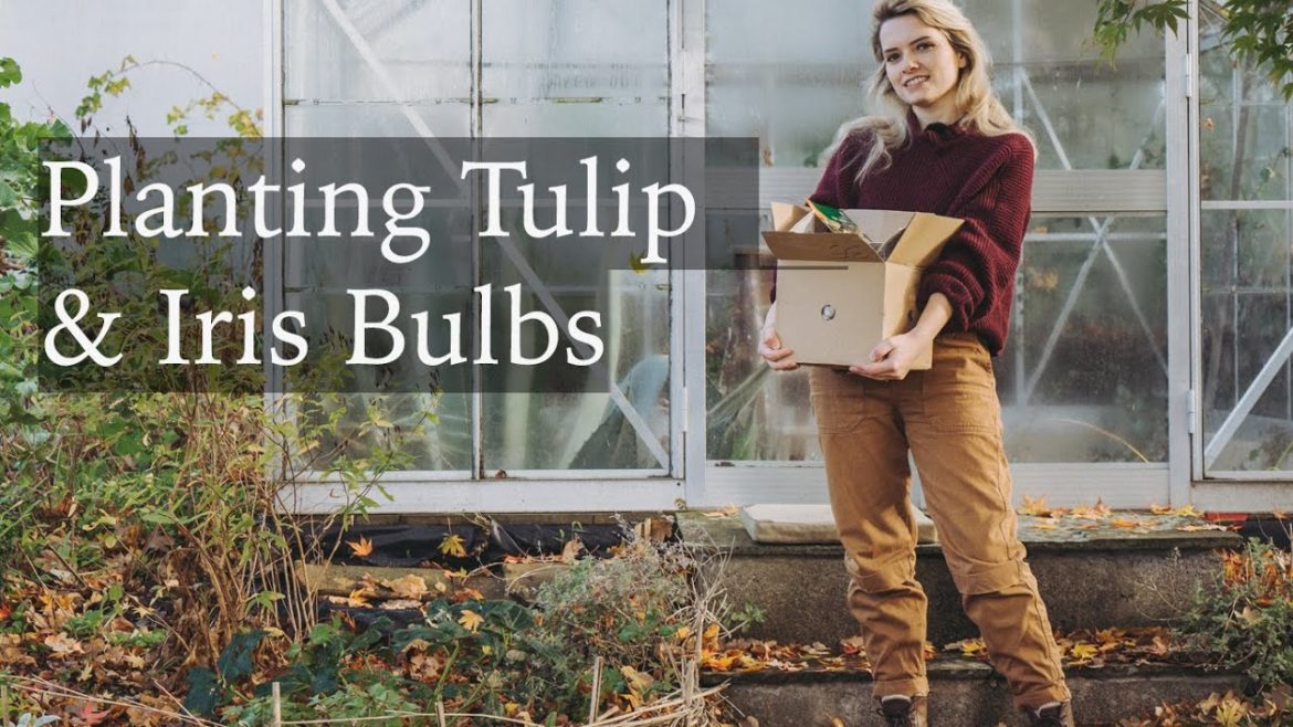 Planting Tulip and Iris Bulbs in our Cottage Garden – Flower Unboxing and Slow Living Planting Tulip and Iris Bulbs in our Cottage Garden - Flower Unboxing and Slow Living