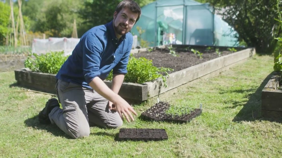 🔴 Gardeners' World 2022 | 17 MORE Brilliant FREE Vegetable Gardening Hacks Productive and Easy