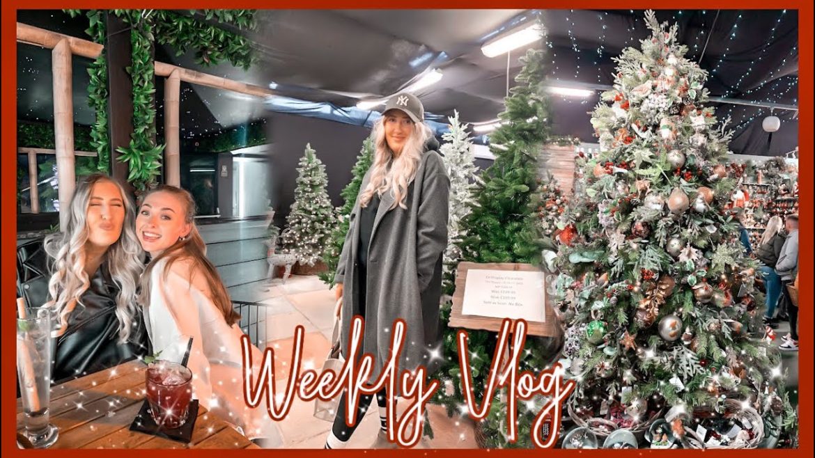 Weekly Vlog; Eternal Muse tutorial, Whitehall Garden Centre & Haul | Sophie Faye